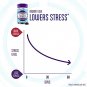 Stressballs, De-Stress + Snooze*, with Melatonin and Ashwagandha to Aid in Sleep and Stress Relief*,