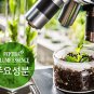 Korean Cosmetic J & Coceu Peptide Volume Skin Essence - Wrinkles, Elasticity, Whitening - Kbeaty - M