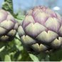 Petitfee Artichoke Soothing Hydrogel Eye Patch