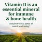 MegaFood, Vitamin D3 2000 IU, Immune and Bone Health Support, Vitamin and Dietary Supplement, Gluten