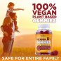 Vitamin D3 5000 IU 125mcg Gummies by New Age - 2 Pack - Support Immune Health - Non-GMO, Gluten-Free