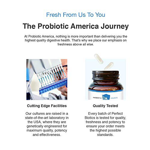 Probiotic America&Acirc;&reg; Perfect Biotics 30 Billion CFUs Digestive & Immune Support Supplement, 30 Count