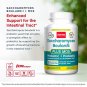 Jarrow Formulas Saccharomyces Boulardii + MOS - 5 Billion Viable Organisms Per Serving - 180 Delayed
