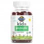 Garden of Life Probiotics for Kids, Cherry Flavor Gummies - Sugar Free Once Daily Kids Probiotic Gum