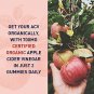 Apple Cider Vinegar Probiotic Gummies by Garden of Life mykind Organics - USDA Organic ACV Gummy Vit
