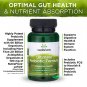 Swanson Ultimate Probiotic Formula Digestive Health Immune System Support 66 Billion CFU Prebiotic N