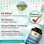 Terranics Probiotics with Prebiotics, 60 Billion CFU, 19 Strains, 60 Vegetarian Capsules, Acid & Bil