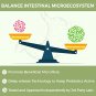Probiotics for Women-Men-Kids Probiotic Powder 50 Billion CFUs 13 Strains - Prebiotics and Probiotic