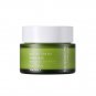 Tony Moly The Green Tea Trueom Moisture Cream