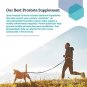 Life Extension Ultra Prostate Formula - Men’s Prostate Health Supplement with Beta Sitosterol, Saw