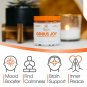 Genius Joy - Nootropic Supplement w/Sam-e, Panax Ginseng & L-Theanine ? 100 veggie pills
