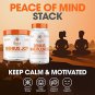 Genius Joy - Nootropic Supplement w/Sam-e, Panax Ginseng & L-Theanine ? 100 veggie pills