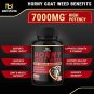 Horny Goat Weed Capsules - 7000mg Herbal Equivalent - Maca, Ginseng, Tribulus Terrestris, Ashwagandh