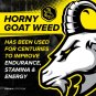 Testosterone Booster for Men - Male Enhancing Supplement with Horny Goat Weed & Tongkat Ali - Muscle