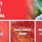 NutraChamps Korean Red Panax Ginseng - 120 Vegan Capsules Extra Strength Root Extract Powder Supplem
