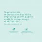 Premama Male Fertility Supplement Multivitamin Drink Mix - Fertility Supplement for Men, Vegan Multi