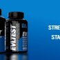Evlution Nutrition Testosterone Booster for Men, EVLTEST Supports Healthy Testosterone Levels, Hormo