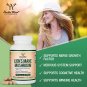 Lions Mane Mushroom Capsules (Two Month Supply - 120 Count) Vegan Supplement - Nootropic to Support