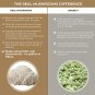 Organic Lions Mane Mushroom Powder Supplement - Improve Cognitive and Immune Support - Gluten Free P