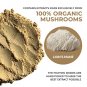 Organic Lions Mane Mushroom Powder Supplement - Improve Cognitive and Immune Support - Gluten Free P