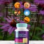 7 in 1 Immune Support Zinc Supplements 50mg Elderberry with Zink and Vitamin C, Vit D3 5000 IU, Echi