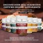 Real Mushrooms Cognition, Longevity, & Immune Support Bundle - Lion’s Mane Extract Powder (60g) |
