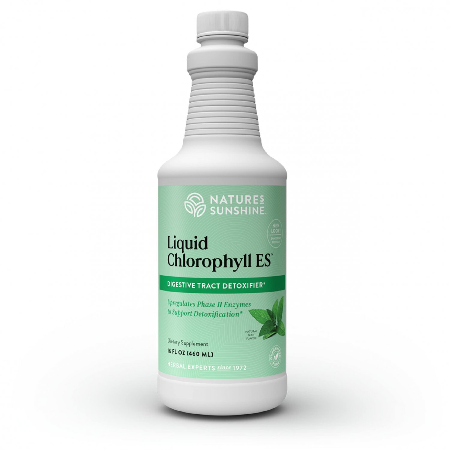 Nature's Sunshine Chlorophyll Liquid Extra Strength, 16 fl. oz, Kosher, Fresh Mint Chlorophyllin Ass