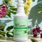 Nature's Sunshine Chlorophyll Liquid Extra Strength, 16 fl. oz, Kosher, Fresh Mint Chlorophyllin Ass
