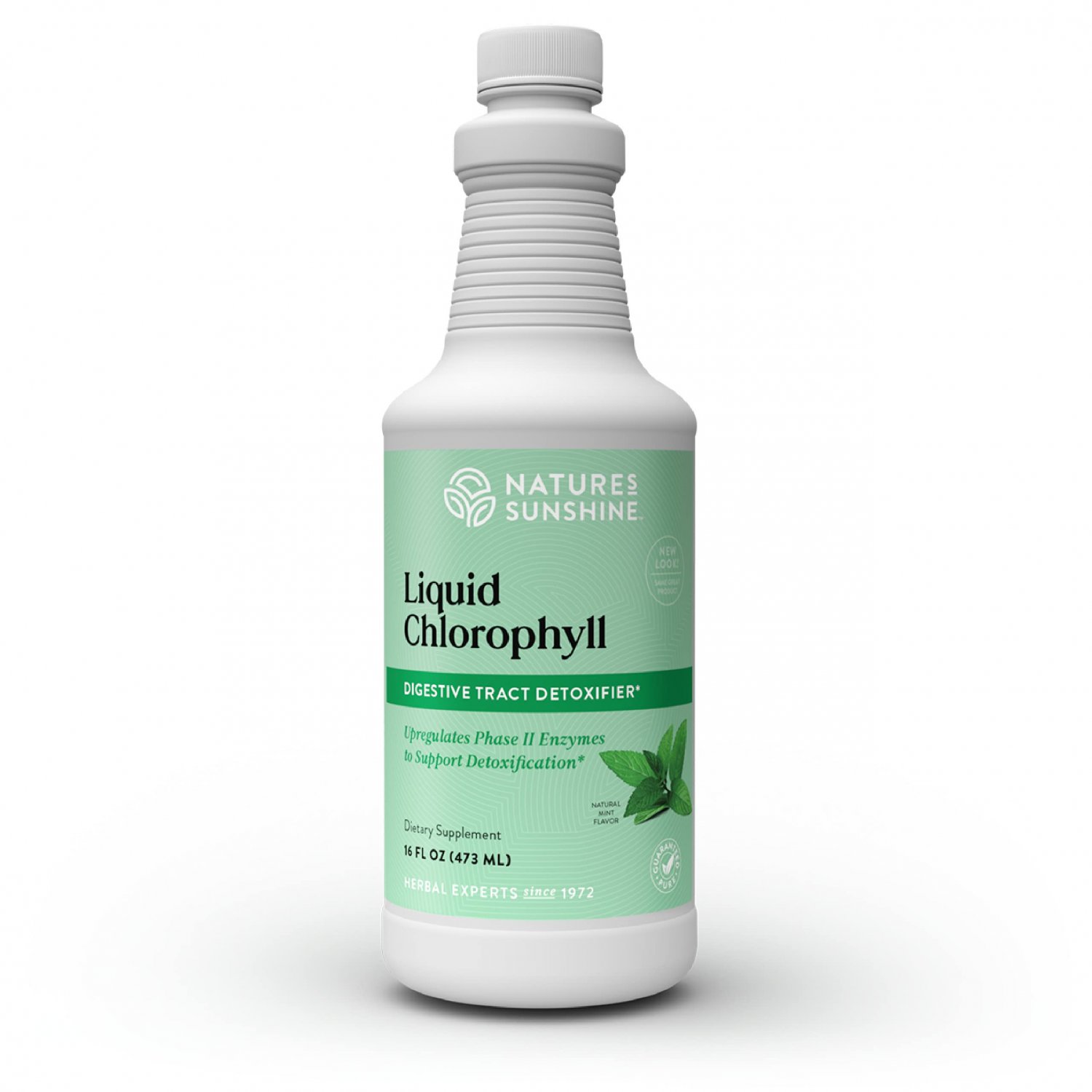 Nature's Sunshine Chlorophyll Liquid, 16 fl. oz, Kosher, Fresh Mint Chlorophyllin Assists Detoxifica