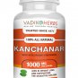 Certified Organic Vadik Herbs Kachnar (Kanchanar, Bauhinia tomentosa) Powder 100 Vegicaps | Effectiv