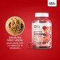 Wild & Organic Korean Panax Red Ginseng Gummies - Energy & Brain Supplements Gummy Vitamins - Memory