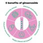 Momme Red Ginseng Jelly Stick: Korean Red Ginseng, High Level of Ginsenoside, Tasty Gelatin Jelly St