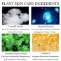 ALOE Cushion CC Cream Mushroom Head Foundation, Dazyteai Moisturizing BB Cream Makeup Long (natural 