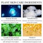 Mushroom Head Air Cushion CC Cream, BB Cream, Moisturizing Concealer, Moisturizing BB Cream Makeup B