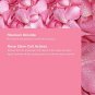 COOLA Organic Rosilliance BB Cream with SPF 30, Tinted Moisturizer Sunscreen & Foundation, Dermatolo