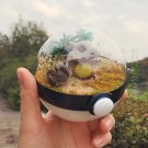 Pokemon Terrarium-Cubone