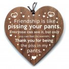 Friendship wood ornament