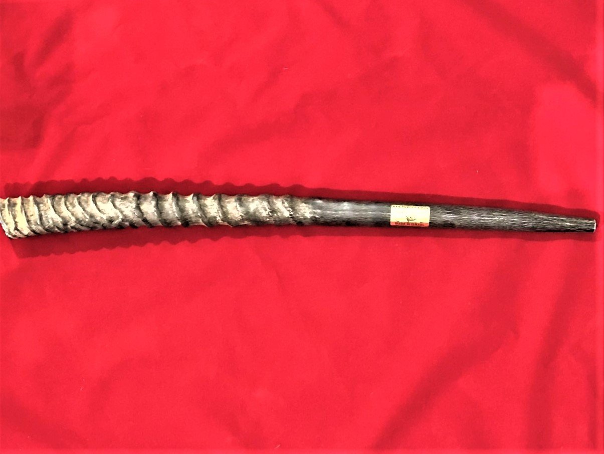 Shofar Stick