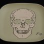 Anatomical Trays- Set of 4