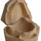 Gypsum Edentulous Cast