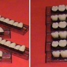 Denture teeth sheet (size 16)
