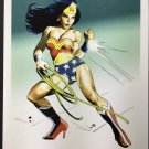 IT'S WONDER WOMAN! Awesome DC Superhero SIGNED Print by Mike Hoffman!