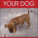 Feed Your Dog