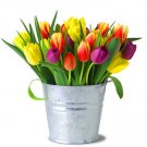 Flower Bucket
