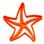 STARFISH STAR SHAPE FISH UNDER THE SEA OCEAN SHORE COOKIE CUTTER USA PR2597