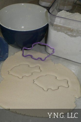 FISH OUTLINE FISHING OCEAN LAKE POND RIVER WATER BASS COOKIE CUTTER USA PR2037