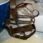 SANTA CAT KITTY WEARING HAT CHRISTMAS PET HOLIDAY SEASON COOKIE CUTTER USA PR938