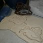 PLAYING PLAYFUL PUG DOG BREED PUPPY CURLY TAIL ADOPTION COOKIE CUTTER USA PR2372