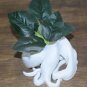 BONSAI PLANTER BOX HERB FLOWER GARDEN PLANT POT TREE ROOTS DECORATION USA PR42