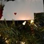 NEBRASKA STATE OUTLINE LINCOLN RED HEART ORNAMENT HOLIDAY CHRISTMAS USA PR244-NE